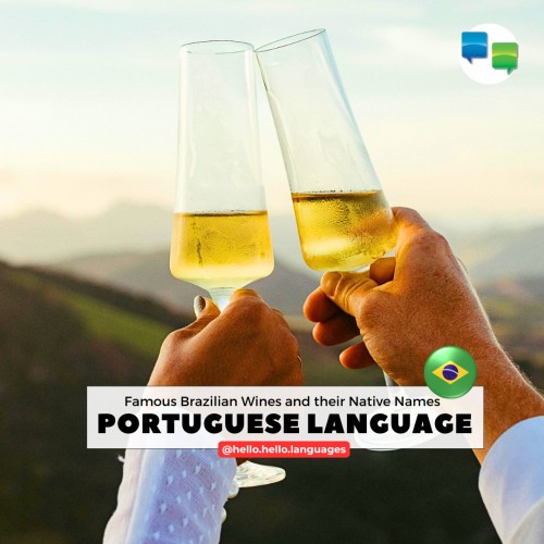 Learn Brazilian Portuguese Language with Hello-Hello android app
