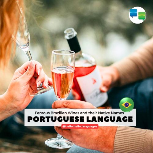 Learn Brazilian Portuguese Language with Hello-Hello iPad app