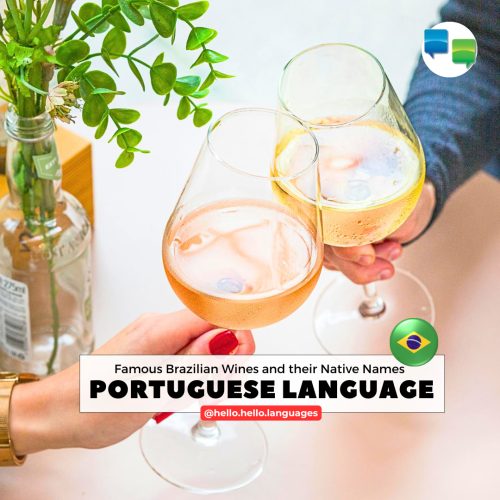 Learn Brazilian Portuguese Language with Hello-Hello mobile app
