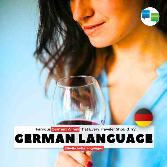 Famous German Wines travelling tips