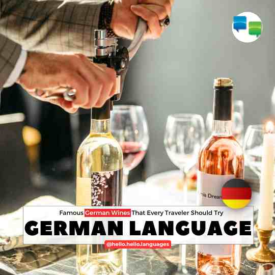Famous German Wines travelling tips